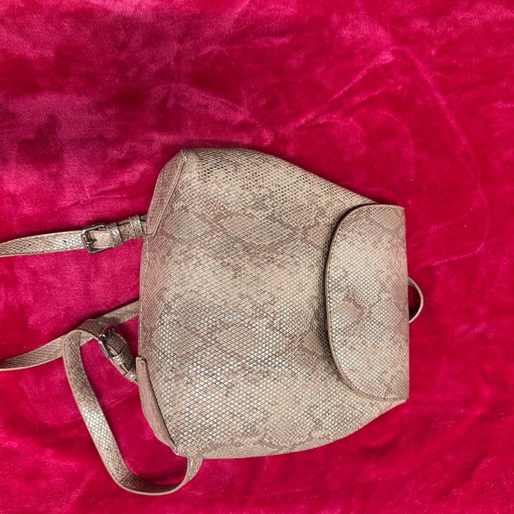 Elegant Tan Women's Bag - Picture 1 of 8
